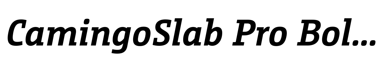 CamingoSlab Pro Bold Italic